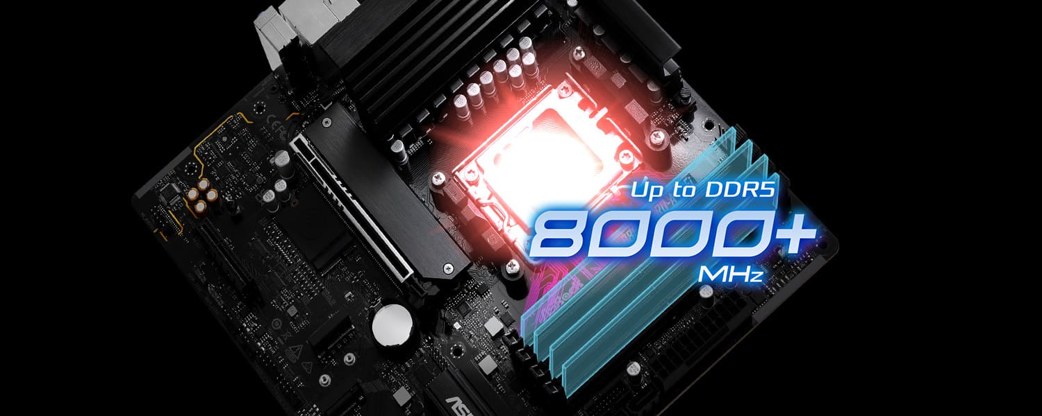 DDR5 XMP 및 EXPO 지원